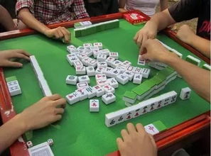 三、  环境优化与辅助策略：构建全方位的赢面