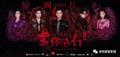 第四部分：文化现象的综合考察与变异隐喻