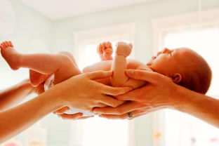 后年生子之命理预测：何种命格可望继承后福？