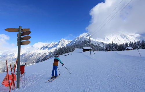 朝霞映雪景，这句八字如何融入中？