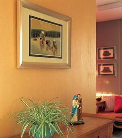 二、 南方利绿色：促进人际关系和谐