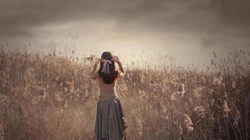 一、 情感动机与联系程度的关联