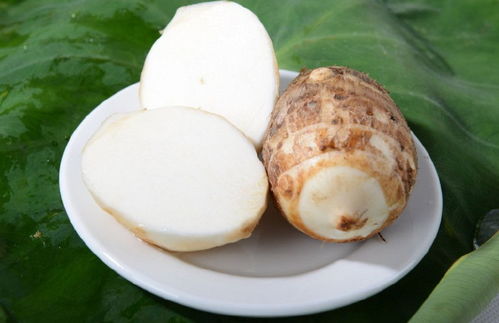 芋头的碱性特性及其对酸碱平衡的影响