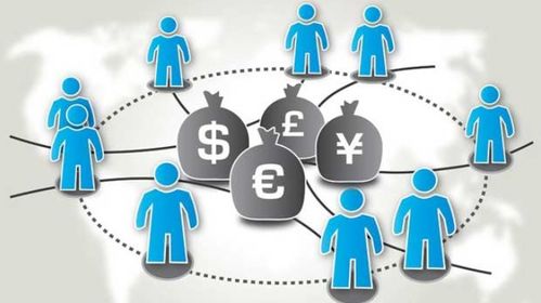 认知偏差与决策失误：主观判断力的削弱