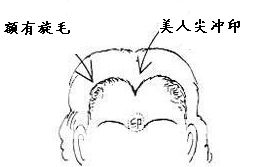 六、 額頭与风水的作用于