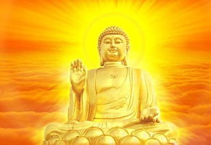 满天神佛和大头佛分别属于哪个生肖？