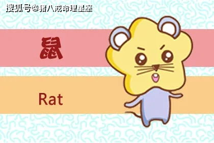 念念不忘对应的生肖是哪个？