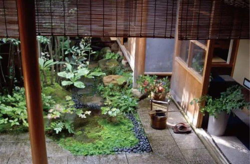 10. 五花较大绑