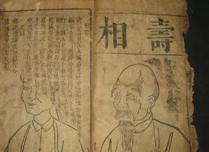 骨相合格与魁罡入命：先天禀赋与后天行为的交互映照