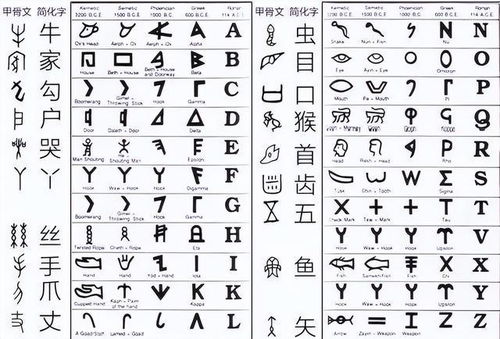 二、 形体结构及笔画分析