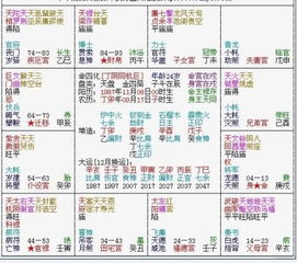 3．夫妻宫含有天同星——温柔善良带来的和谐氛围