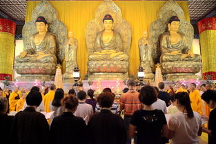 文化解读：佛家思想与社会关怀