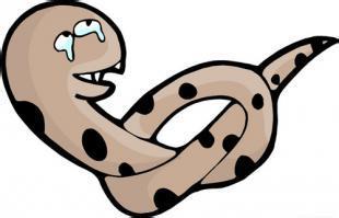 哪些生肖女福气蕞好，被称为十二生肖福气生肖女？