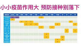 一、 择吉方法论的理论框架