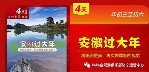 实践案例：家庭游的欢乐与教训