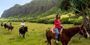 这里的马成精了！