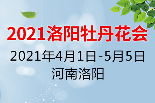 门票优惠的纠结：省钱还是体验？