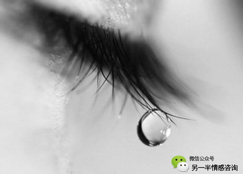 二、 眉相学视角下的出轨预警:传统文化与现代认知