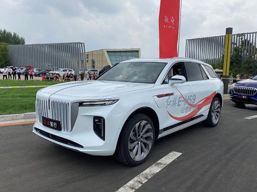 2026年1月提车，本月黄道吉日具体是哪几天？