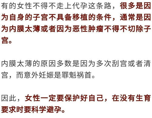 禁娱实践背后的政治文化逻辑