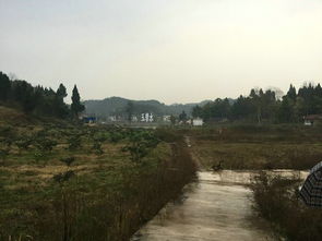 祥和风水是否属于堪风水的范畴？