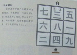 各类风水书籍概览：体系构建与侧重分析