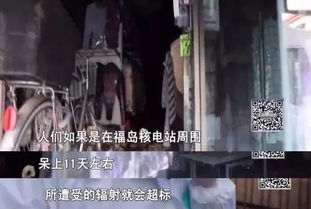 结论