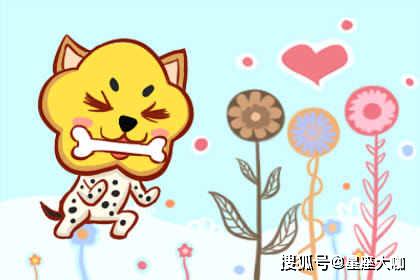 2026年金牛座属狗全年运势详解和2025年完整运势分别是什么？