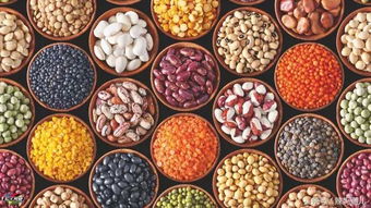 （二） 豆类：适量食用中的水木相生智慧