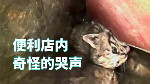 难以忘却的经历