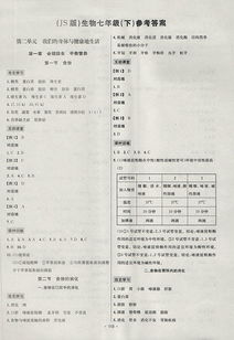 八、 高分评估及改进建议