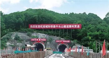 交通别只盯着地铁！自驾党注意， 这条“本地人专属路”能省1小时