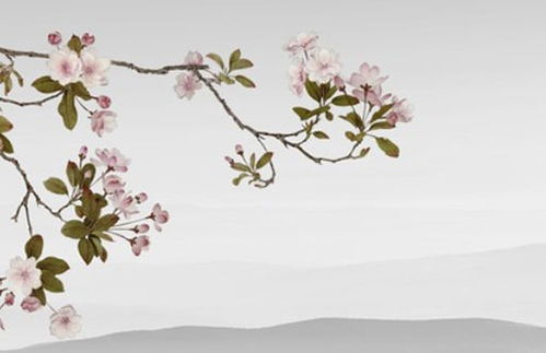 婚姻宫被刑会导致离婚吗？夫妻宫相刑离婚可以改变吗？