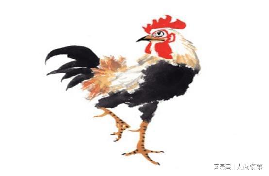 事业稳步发展的内涵：并非缺乏爆发力而是蓄势待发