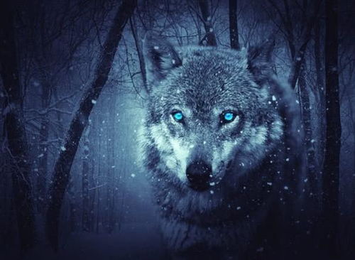 概念界定及其历史渊源