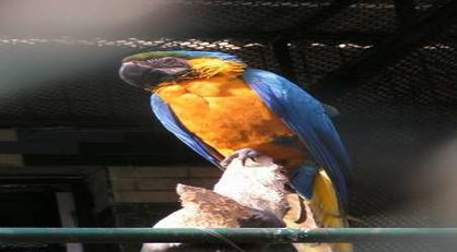 d. 金鱼馆 —— “童话世界”还是“小金鱼死光光”？