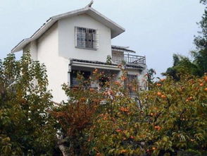 住宿：简陋但温馨(还有蚊子!)