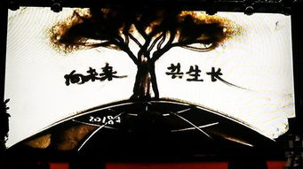 一：破茧成蝶的迷茫与坚定