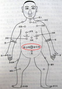 二、 具体对应法则分析