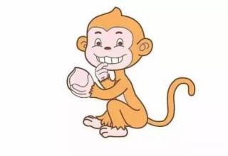 二、 猴子事件：勇气与自豪的双刃剑