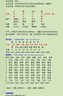 1996年农历6月初九下午四点到五点出生的男生八字是什么？