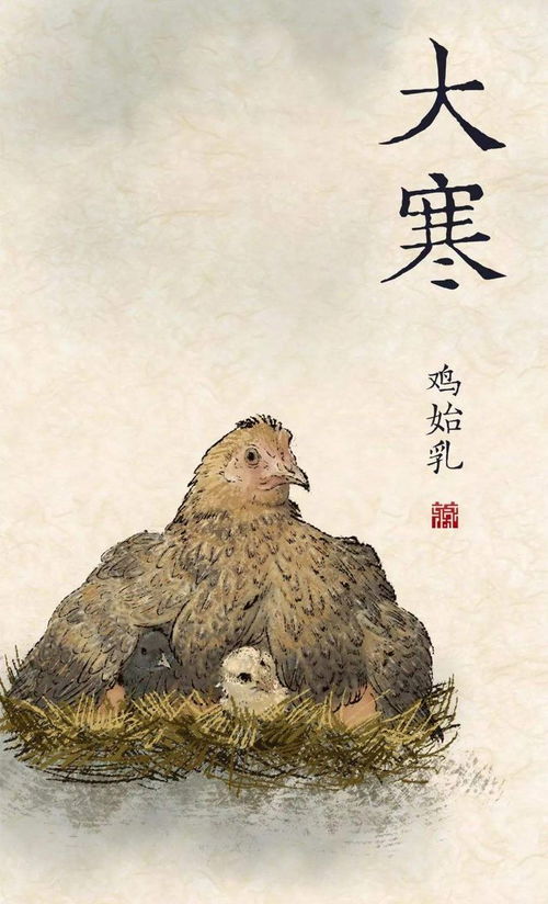 二候征鸟厉疾：生存竞争的残酷写照