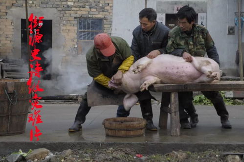 梦见杀猪见血没杀死是什么不祥的征兆？