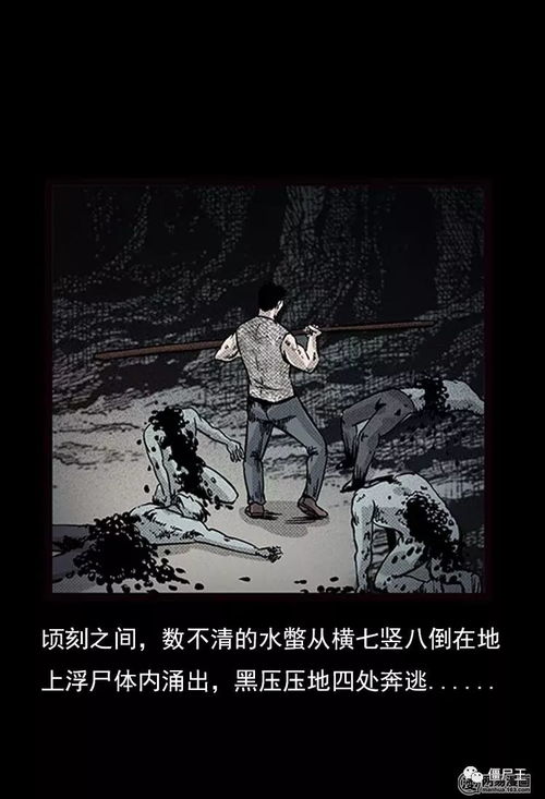 ：夜读与传统文化视角下的异常现象探讨