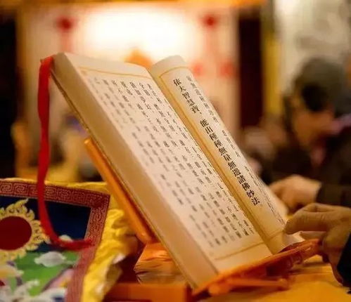 资料不全的影响：福报与情感状况的双重制约