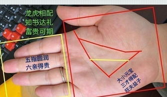 文献综述——《神相全编》对三才纹的阐释