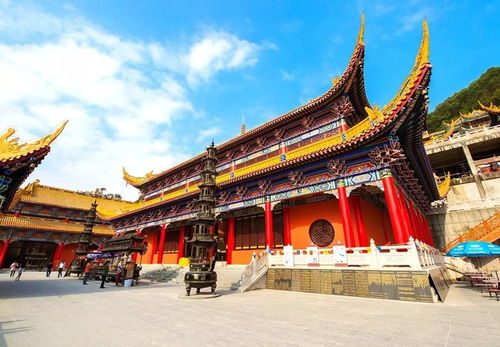 二、  命名背后的意蕴：