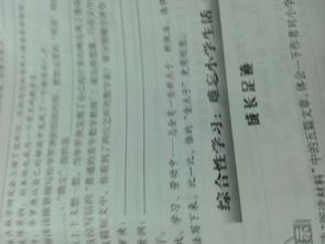 舍本逐末的误区及其危害