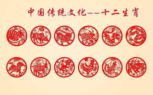 今日生肖财运图，看好赌小财运通打一生肖，这是什么意思？