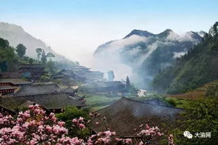 天啦噜！犀牛寨门票价格大揭秘